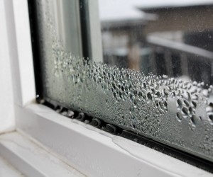 Mould Caused by Condensation